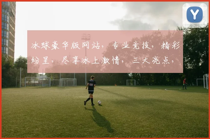 冰球豪华版网站，专业竞技，精彩纷呈，尽享冰上激情，三大亮点，不容错过，体验非凡