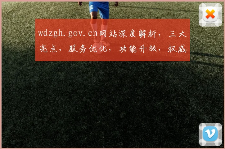 wdzgh.gov.cn网站深度解析，三大亮点，服务优化，功能升级，权威发布，必看