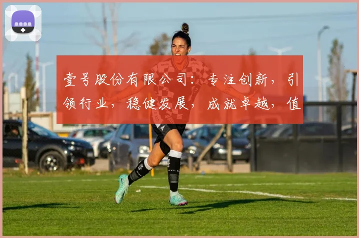 壹号股份有限公司：专注创新，引领行业，稳健发展，成就卓越，值得信赖的领军企业